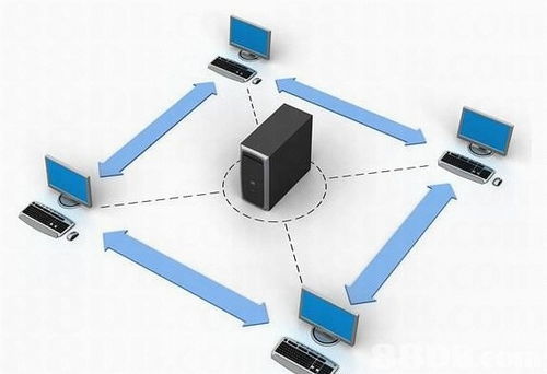 深入剖析服务器托管租用哪种好？——从成本、性能、可靠性和灵活性四个维度进行比较