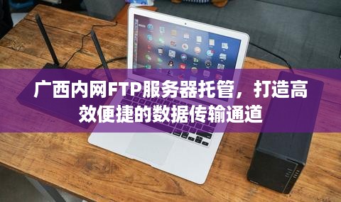 广西内网FTP服务器托管，打造高效便捷的数据传输通道