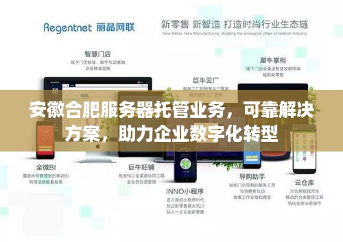 安徽合肥服务器托管业务，可靠解决方案，助力企业数字化转型