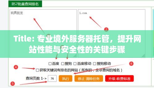 Title: 专业境外服务器托管，提升网站性能与安全性的关键步骤