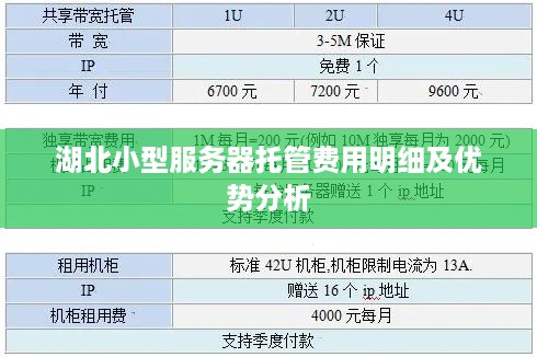 湖北小型服务器托管费用明细及优势分析