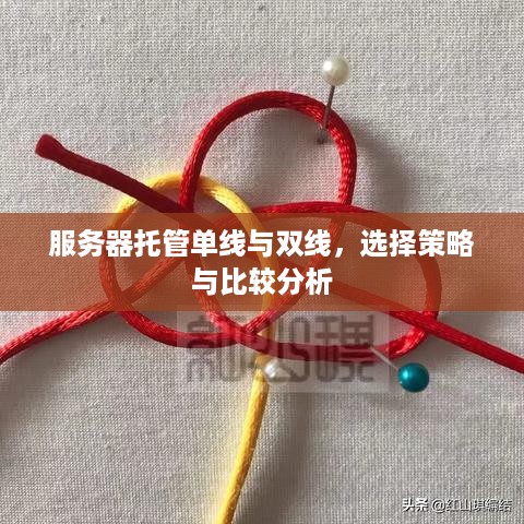 服务器托管单线与双线，选择策略与比较分析