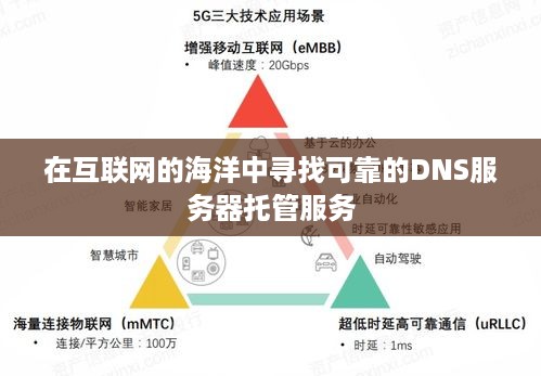 在互联网的海洋中寻找可靠的DNS服务器托管服务