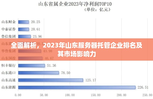 全面解析，2023年山东服务器托管企业排名及其市场影响力