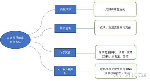 全面解析托管服务器平台选择指南，让你轻松选对好平台