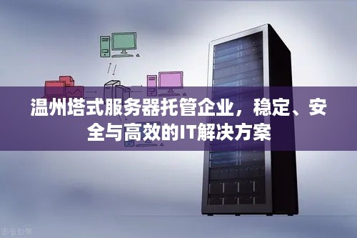 温州塔式服务器托管企业，稳定、安全与高效的IT解决方案