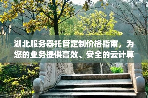 湖北服务器托管定制价格指南，为您的业务提供高效、安全的云计算解决方案