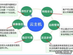 服务器托管，立项的必要性与重要性