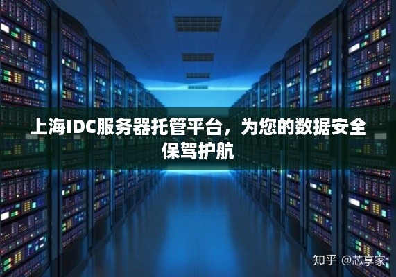 上海IDC服务器托管平台，为您的数据安全保驾护航