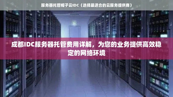 成都IDC服务器托管费用详解，为您的业务提供高效稳定的网络环境