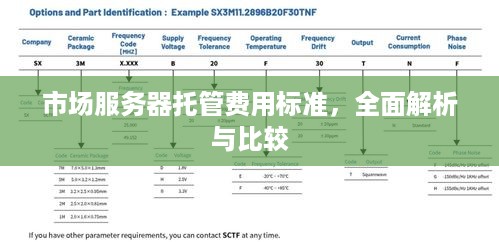 市场服务器托管费用标准，全面解析与比较