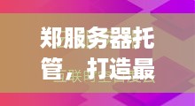 郑服务器托管，打造最佳的IT解决方案