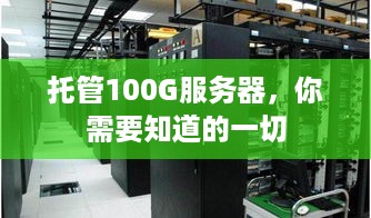 托管100G服务器，你需要知道的一切