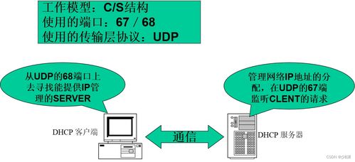 苹果托管服务器购买指南，寻找最佳平台与方案