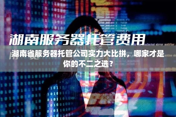 湖南省服务器托管公司实力大比拼，哪家才是你的不二之选？