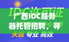 广西IDC服务器托管招聘，寻求专业人才共创数据中心新篇章