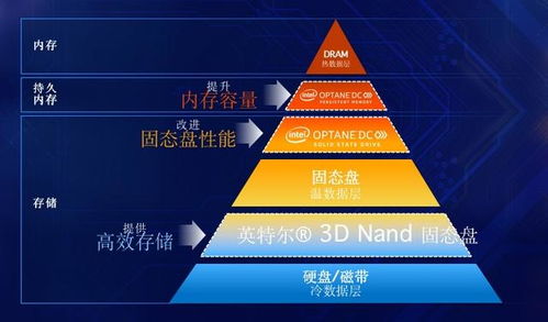 深圳服务器托管机构排名一览，优质服务商助力企业稳步前行