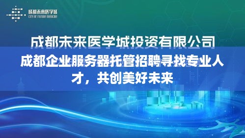 成都企业服务器托管招聘寻找专业人才，共创美好未来