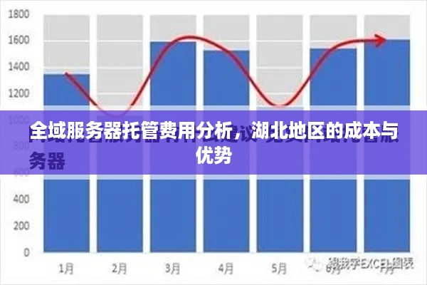 全域服务器托管费用分析，湖北地区的成本与优势