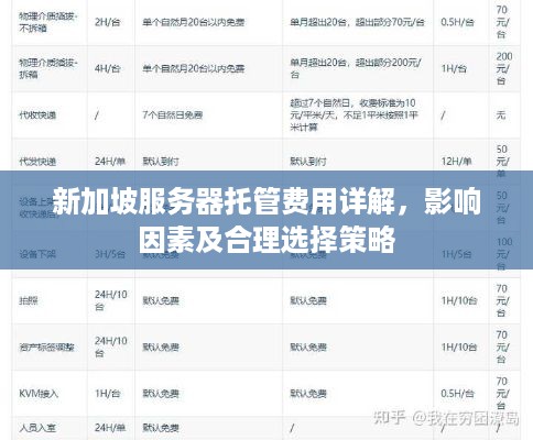 新加坡服务器托管费用详解，影响因素及合理选择策略