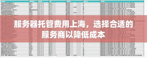 服务器托管费用上海，选择合适的服务商以降低成本