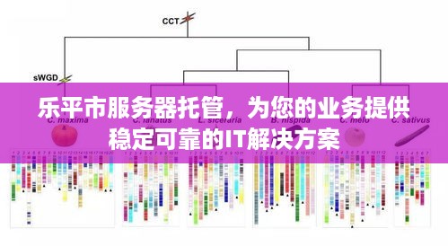 乐平市服务器托管，为您的业务提供稳定可靠的IT解决方案