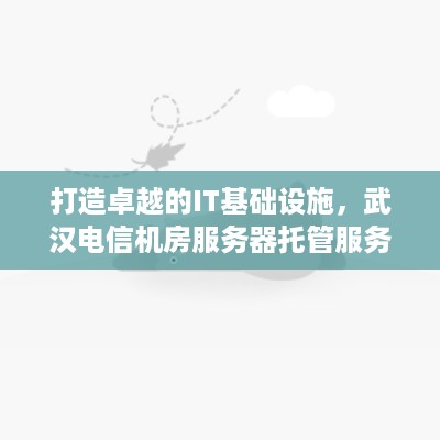 打造卓越的IT基础设施，武汉电信机房服务器托管服务详解