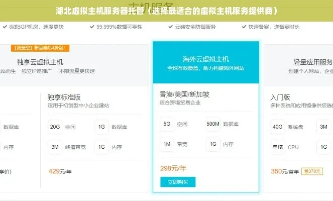 湖北服务器托管价格实惠，让您轻松搭建网站平台
