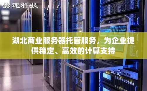 湖北商业服务器托管服务，为企业提供稳定、高效的计算支持