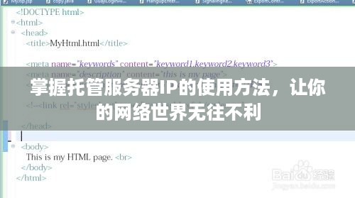 掌握托管服务器IP的使用方法，让你的网络世界无往不利