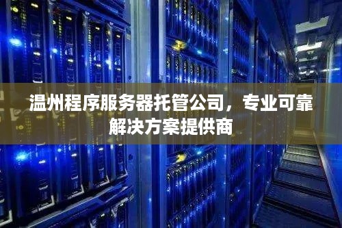 温州程序服务器托管公司，专业可靠解决方案提供商