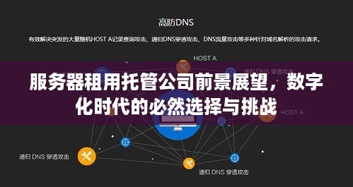 服务器租用托管公司前景展望，数字化时代的必然选择与挑战