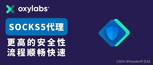 在线代理服务器托管，保护您的隐私和安全的利器