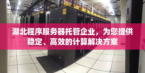 湖北程序服务器托管企业，为您提供稳定、高效的计算解决方案