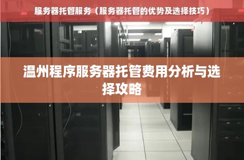 温州程序服务器托管费用分析与选择攻略