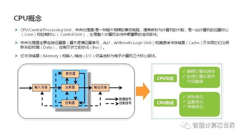 全面解析，服务器托管需求调研分析