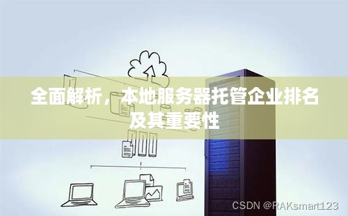 全面解析，本地服务器托管企业排名及其重要性