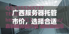 广西服务器托管市价，选择合适的托管服务商的重要性及价格分析