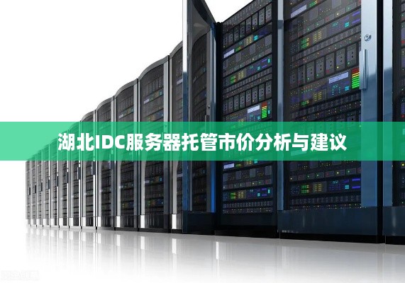 湖北IDC服务器托管市价分析与建议