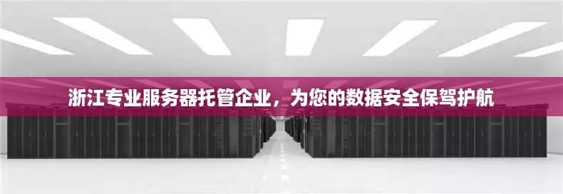 浙江专业服务器托管企业，为您的数据安全保驾护航