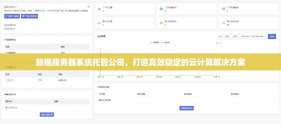 新疆服务器系统托管公司，打造高效稳定的云计算解决方案