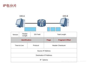 高端IP服务器托管公司，确保数据安全与高效运营的关键