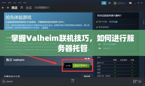 掌握Valheim联机技巧，如何进行服务器托管