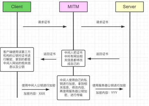 Title: 服务器托管单线与多线，如何选择合适的服务器托管方案？