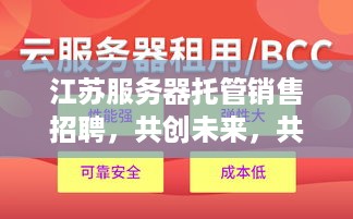 江苏服务器托管销售招聘，共创未来，共享成功