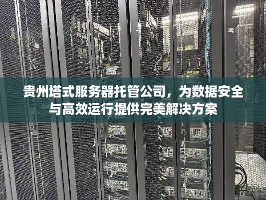 贵州塔式服务器托管公司，为数据安全与高效运行提供完美解决方案