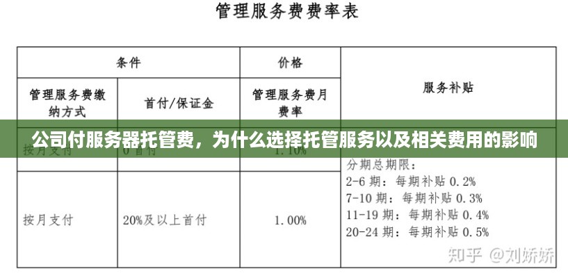 公司付服务器托管费，为什么选择托管服务以及相关费用的影响