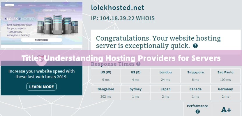 Title: Understanding Hosting Providers for Servers