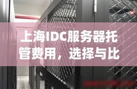 上海IDC服务器托管费用，选择与比较的关键要素