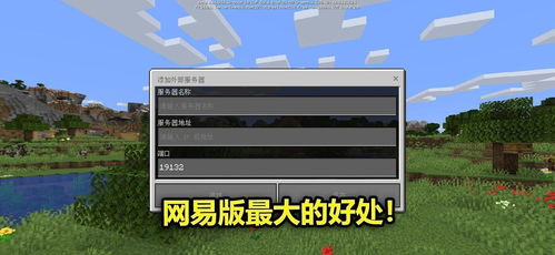 探索Minecraft中的免费服务器托管，如何选择最佳方案